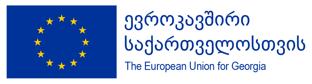logo of the european union for georgia, in english and georgian, with european commission flag and 