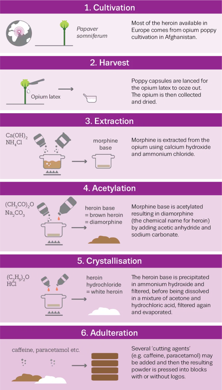  Schematic diagram showing the six steps in illicit heroin production: cultivation, harvest, extraction, acetylation, crystallisation and adulteration.