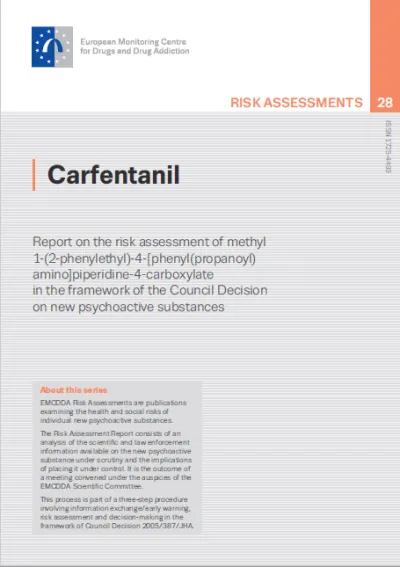 Cover of the risk assessment