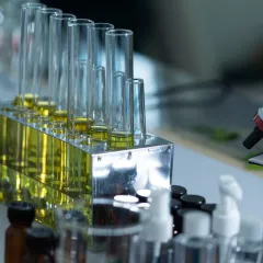 Image of a laboratory setting, with little vases with samples of a substance and other laboratory tools, such as a microscope. .