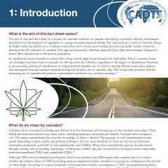Cover of the cannabis and driving fact sheet publication