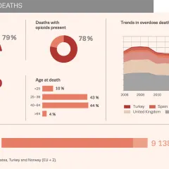 Chart showing drug-induced deaths