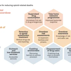 key approaches for reducing opioid related deaths