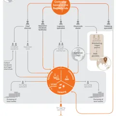 Infographic showing MDMA supply chain logistics