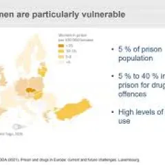 Screenshot of a presentation from the EMCDDA webinar on prison and drugs