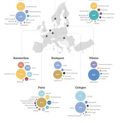infographic showing residues of different drugs found in syringes from selected European cities, 2019