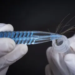 hand with glove holding sample of hair with blue tweezers into a lab tube