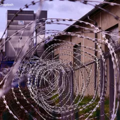 Picture shows outside of prision with razor wire.