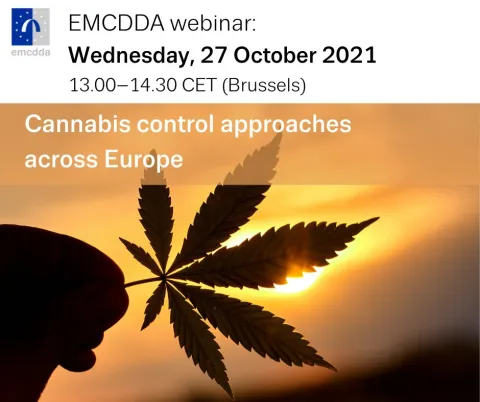 Screenshot from the webinar on cannabis control approaches