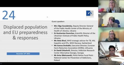Screenshot from the webinar on displaced populations and EU preparedness and responses