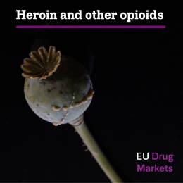 european drug markets report: heroin. Photo of poppy on black background