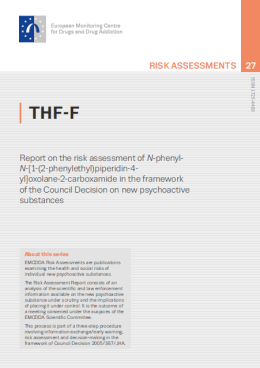 Cover of the risk assessment