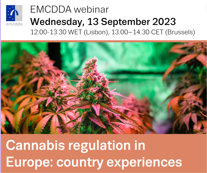 Picture of cannabis plants. EMCDDA webinar. Cannabis regulation in Europe: country experiences. Wednesday 13 September 2023, 12.00–13.30 Lisbon time (WET) / 13.00–14.30 Brussels time (CET).